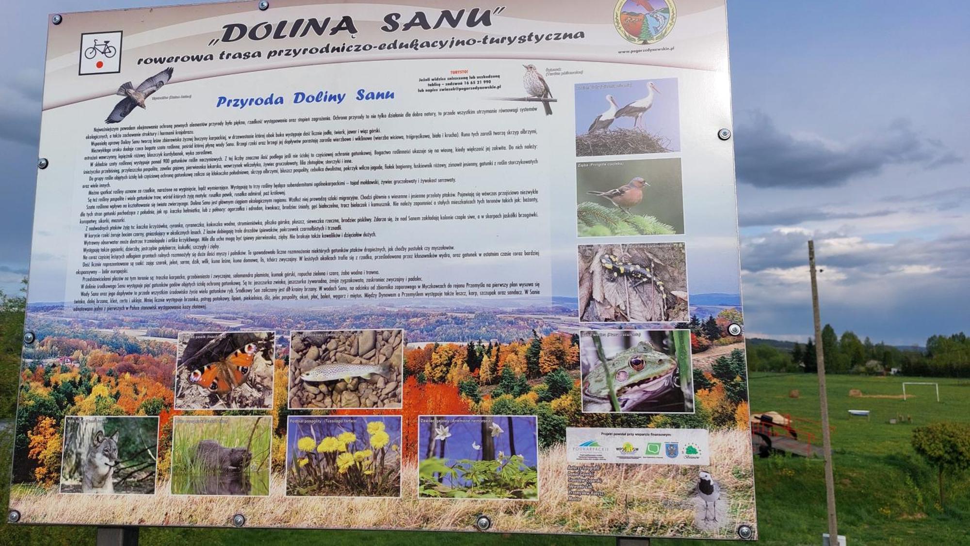 Dom Nad Dolina Sanu Villa Ruszelczyce Exterior photo